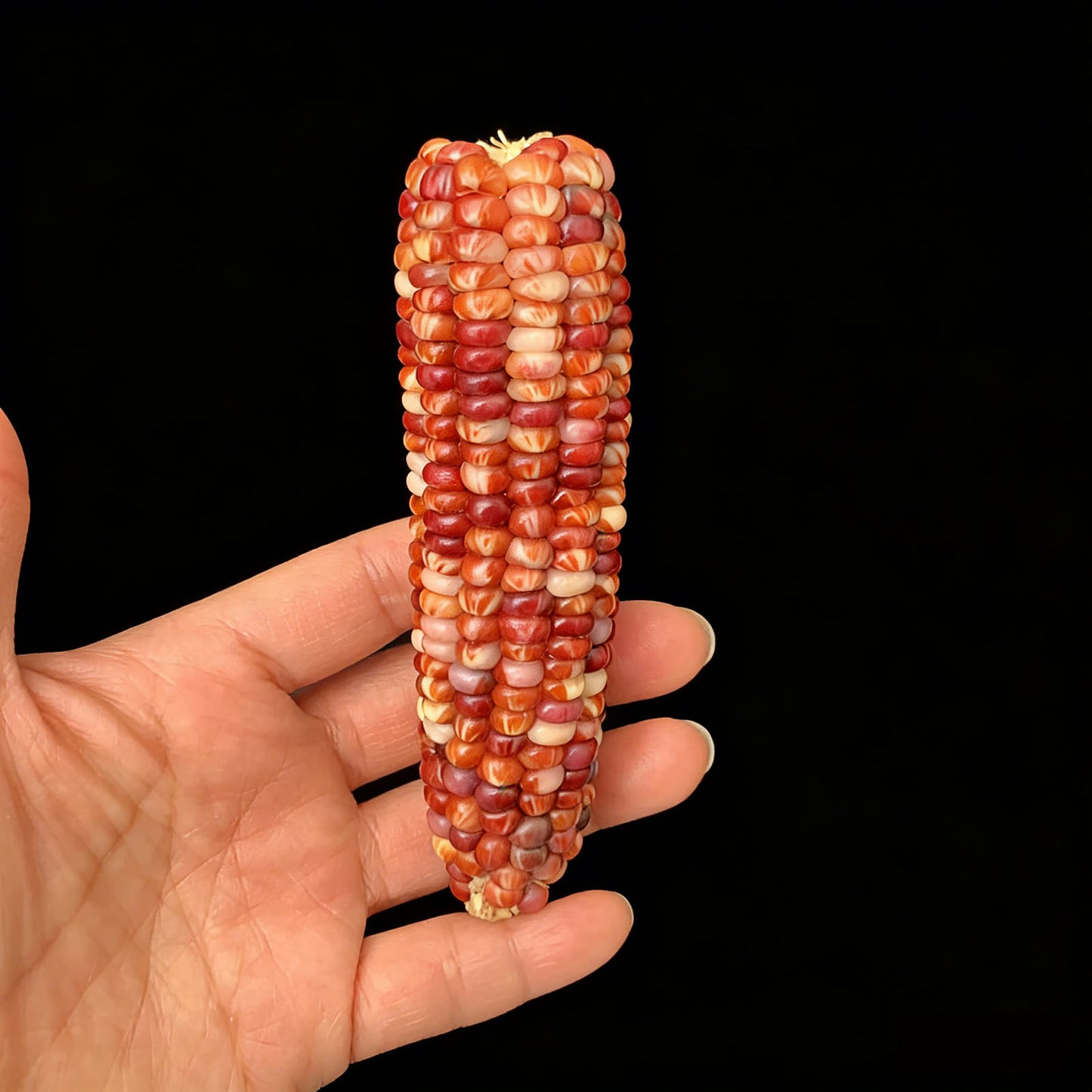 Mini Cultural and Creative Corn Wool Handheld Piece Bodhi Christmas Gift