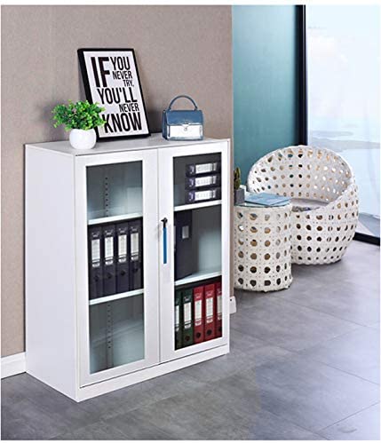 Small Size Office Cabinet Black Color with Two Layer Lockable (30" Glass Door, Black)