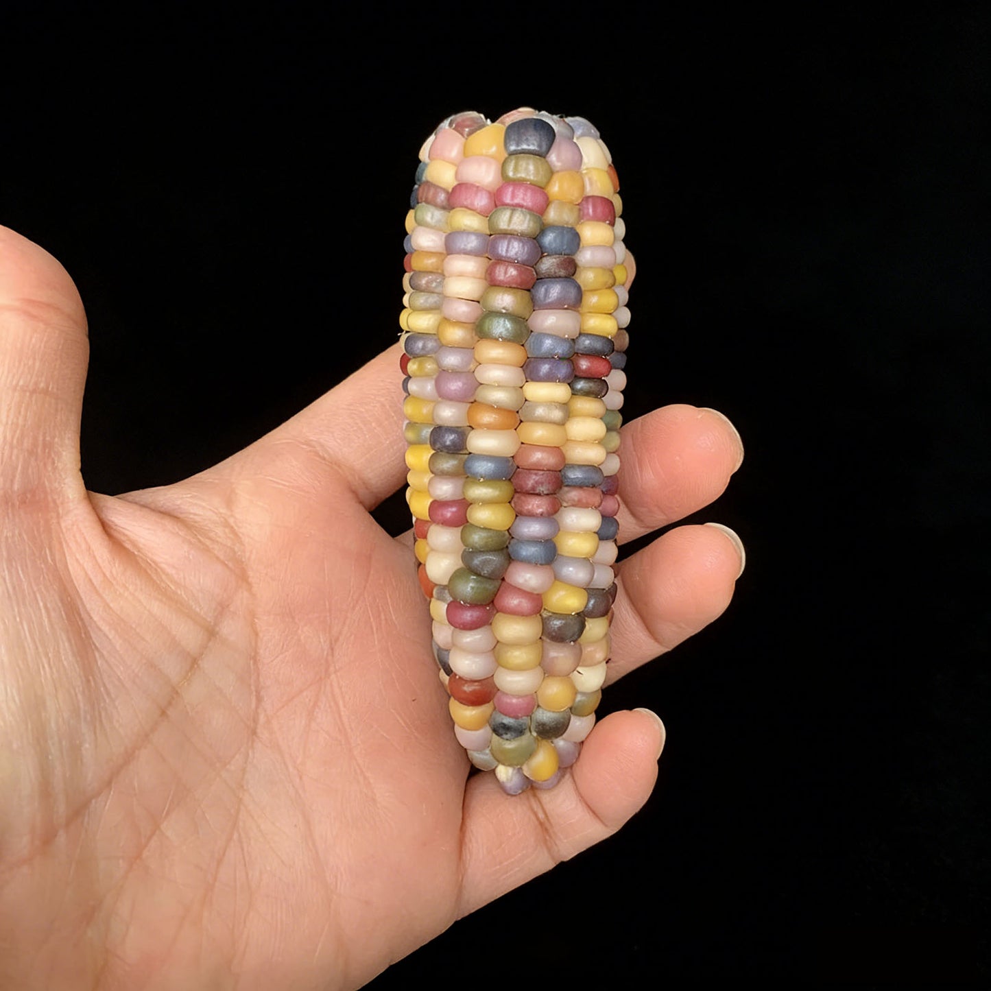 Corn Toy Corn DIY Accessories Holiday Gift Stress Relief Toy