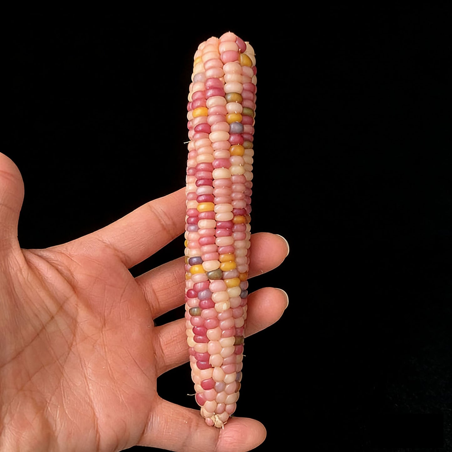 Mini Cultural and Creative Corn Wool Handheld Piece Bodhi Christmas Gift