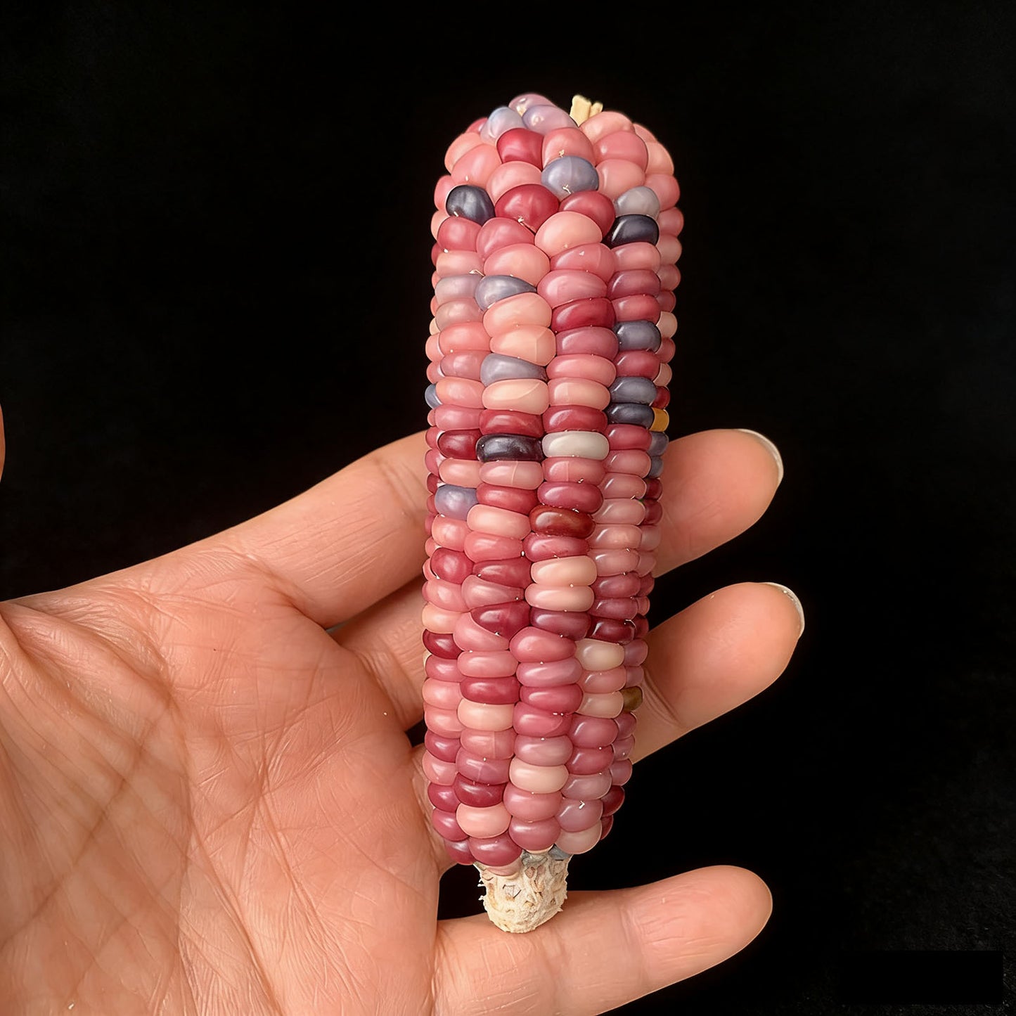 Mini Cultural and Creative Corn Wool Handheld Piece Bodhi Christmas Gift