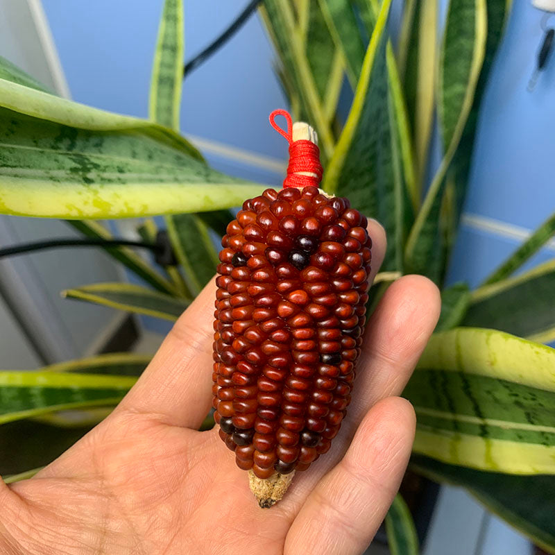 Corn Toy Corn DIY Accessories Holiday Gift Stress Relief Toy