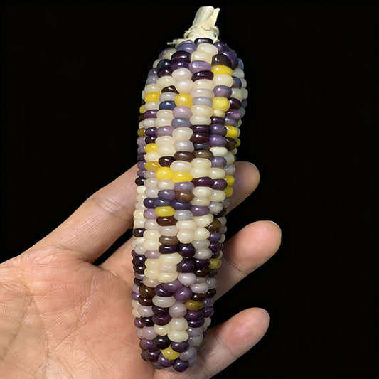 Natural Mini Corn Bodhi Mini Corn Ornament Corn Car Hanging Feng Shui Decoration Figurine