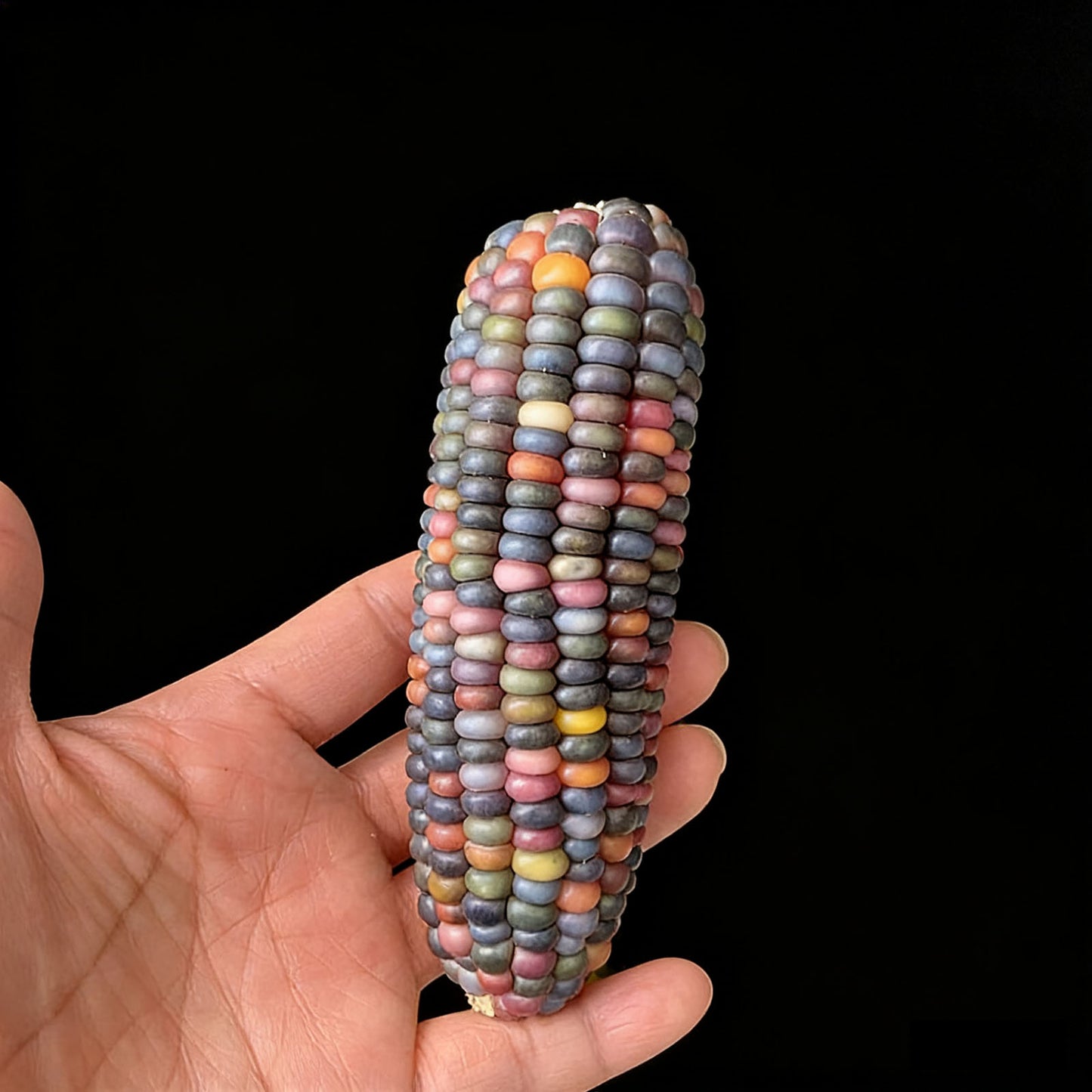 Mini Cultural and Creative Corn Wool Handheld Piece Bodhi Christmas Gift