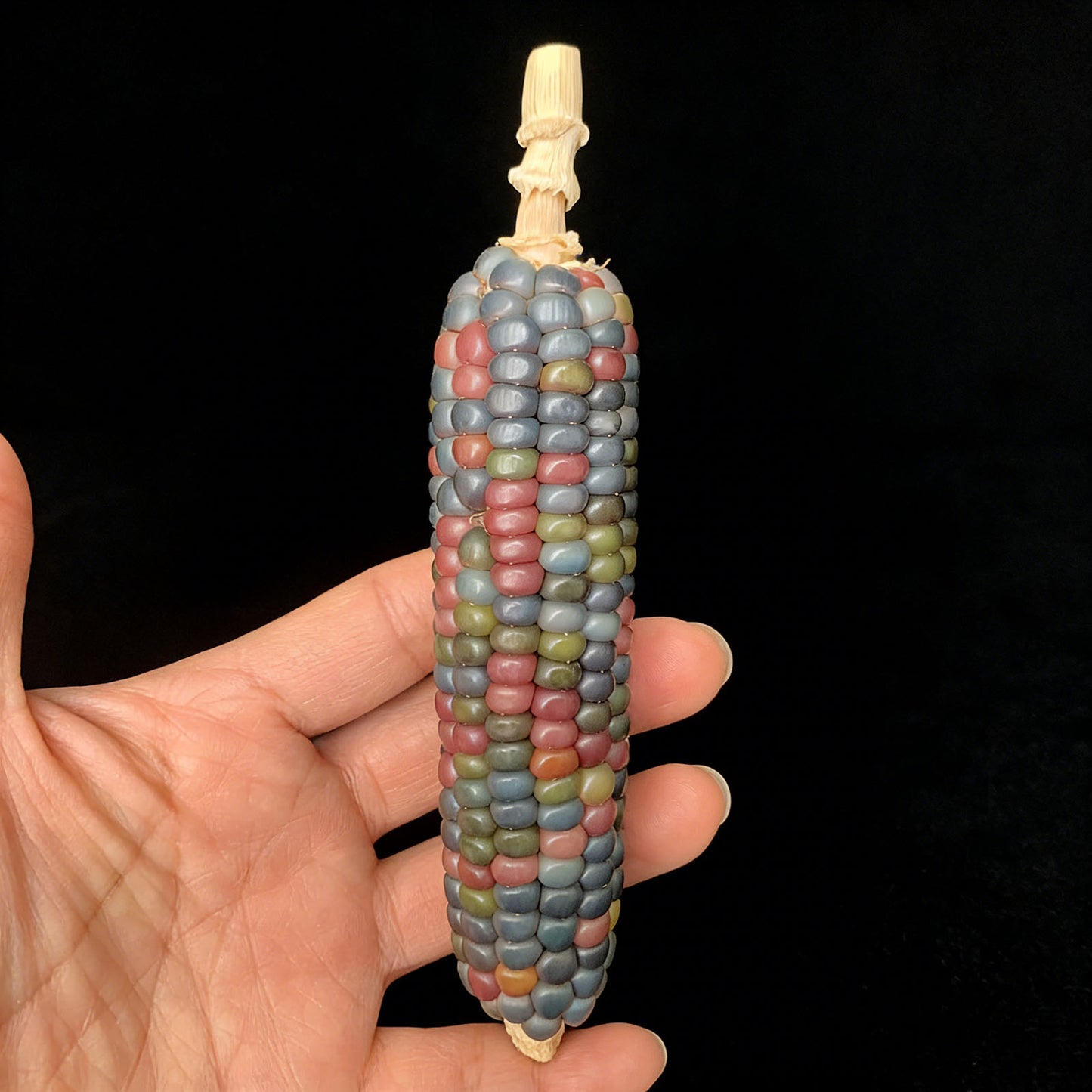 Corn Toy Corn DIY Accessories Holiday Gift Stress Relief Toy