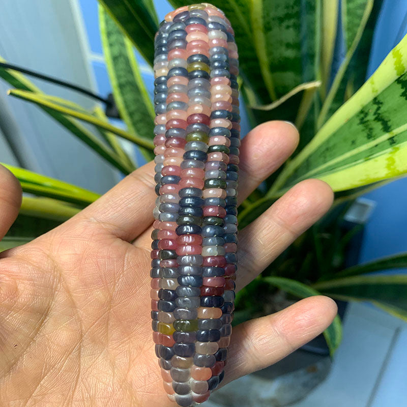 Natural Mini Corn Bodhi Mini Corn Ornament Corn Car Hanging Feng Shui Decoration Figurine