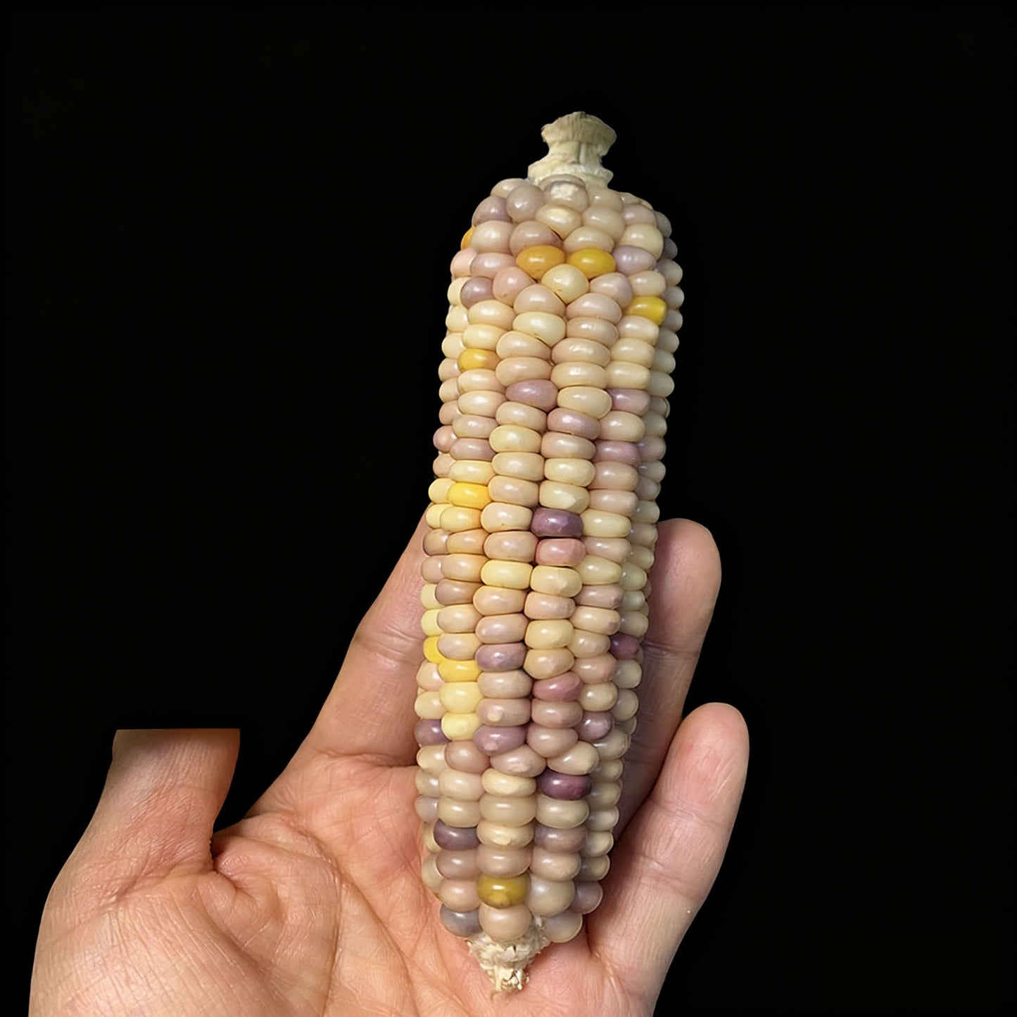 Mini Cultural and Creative Corn Wool Handheld Piece Bodhi Christmas Gift