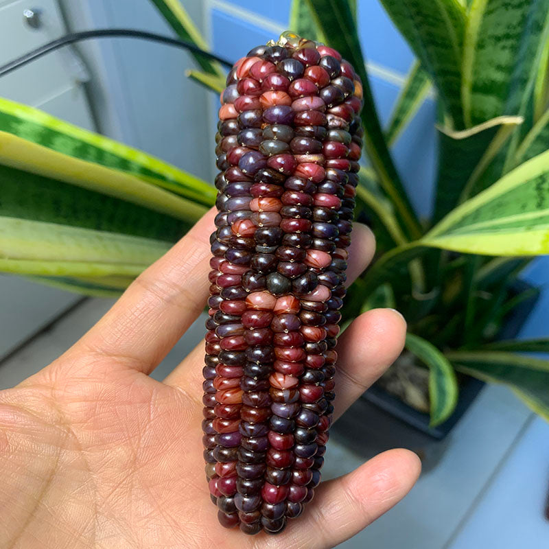 Corn Toy Corn DIY Accessories Holiday Gift Stress Relief Toy