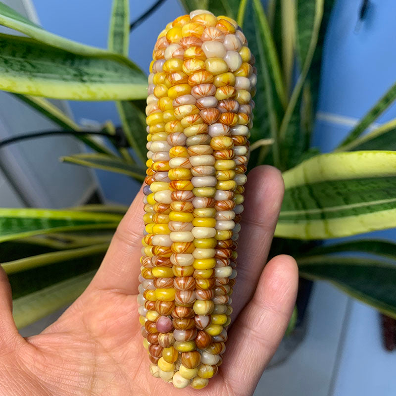 Corn Toy Corn DIY Accessories Holiday Gift Stress Relief Toy