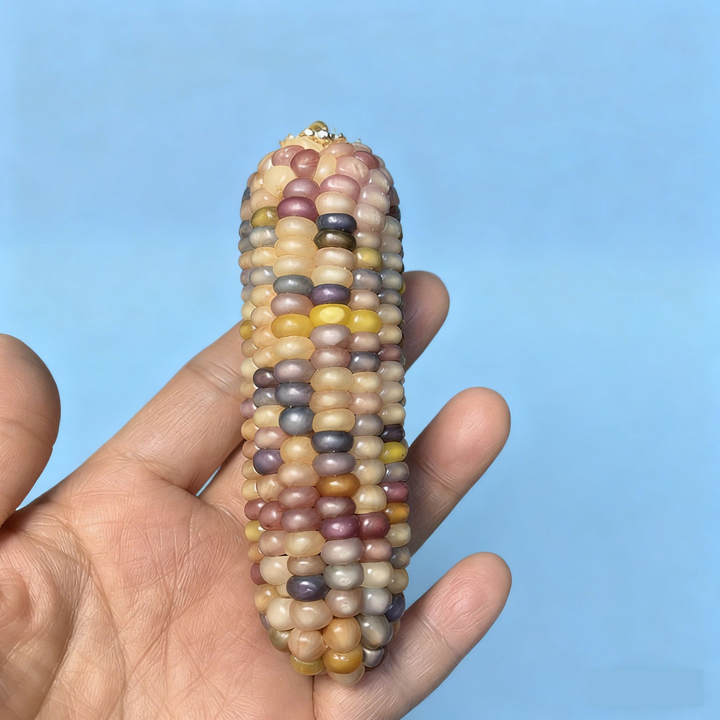 Mini Corn Adorned  DIY Accessories Pendant Holiday Gifts Handcrafted Unique Charm