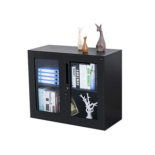 Small Size Office Cabinet Black Color with Two Layer Lockable (30" Glass Door, Black)