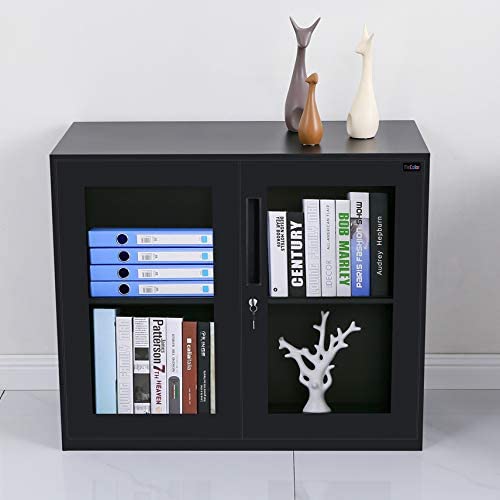 Small Size Office Cabinet Black Color with Two Layer Lockable (30" Glass Door, Black)