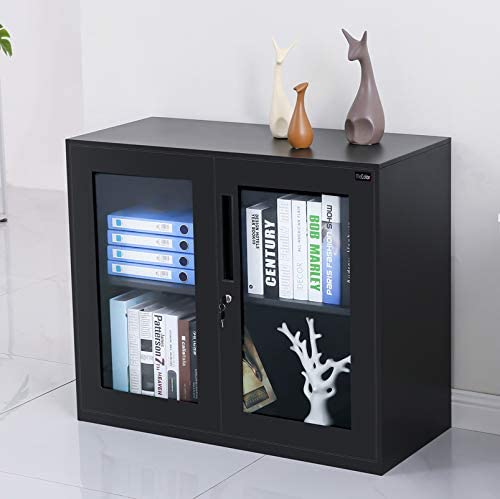 Small Size Office Cabinet Black Color with Two Layer Lockable (30" Glass Door, Black)
