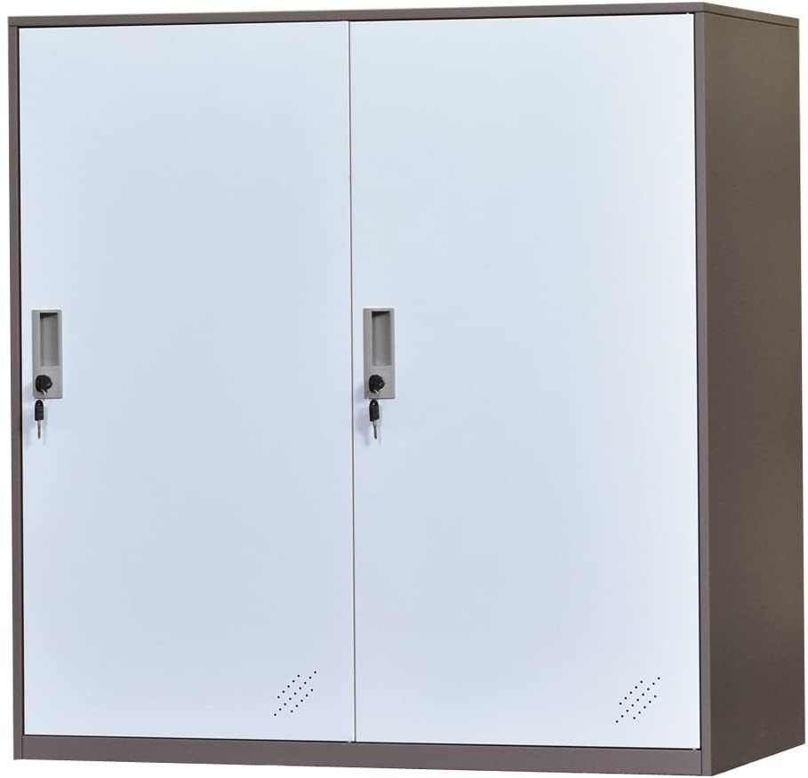 Small Office Metal Cabinet Locker with 3 Layer Each Door Storage for Cloth PC and Shoes,Changing Room Locker (2D)